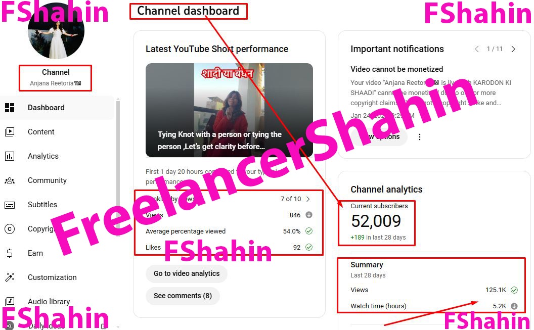 SEO & YouTube Development