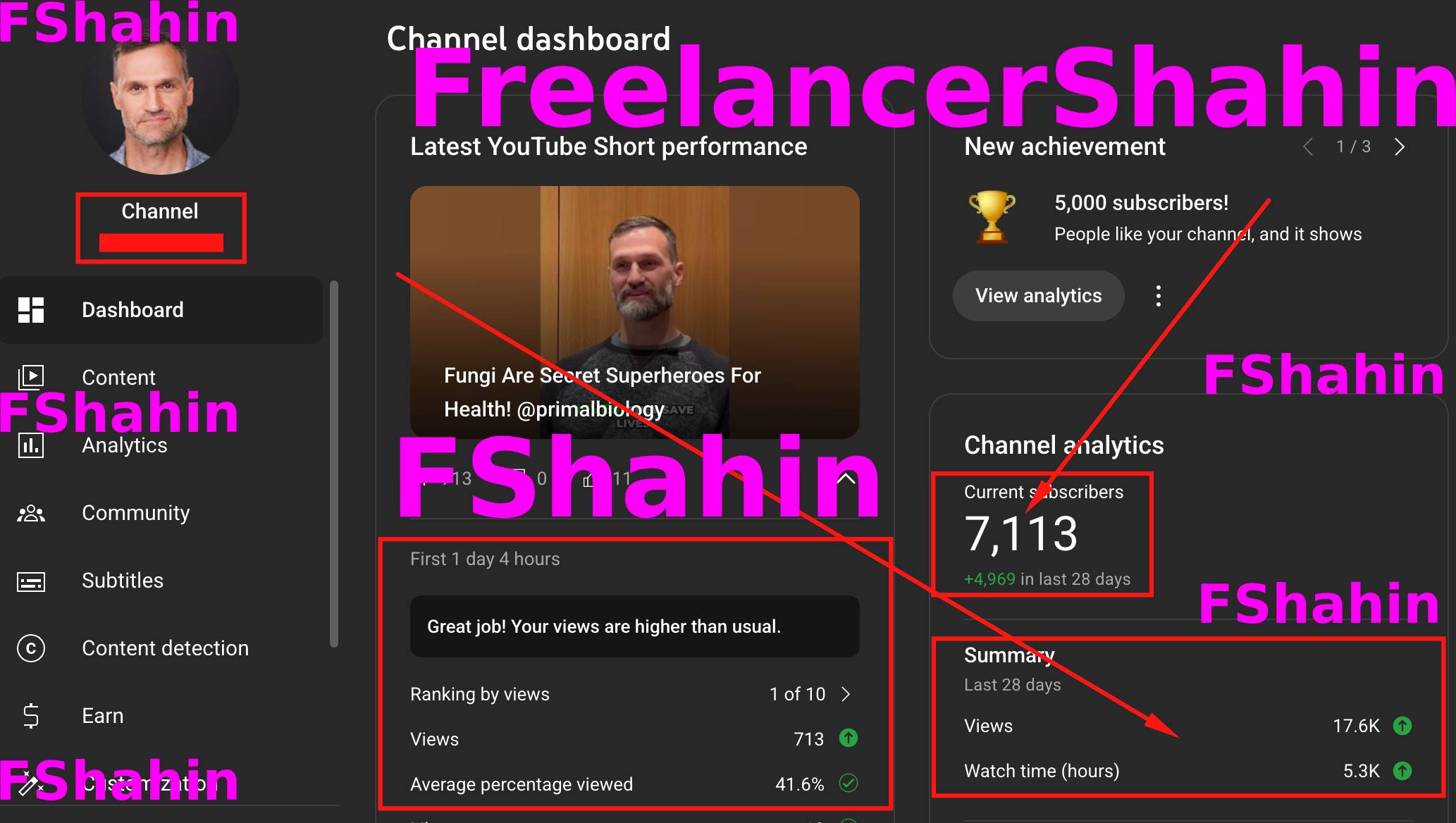 SEO & YouTube Development