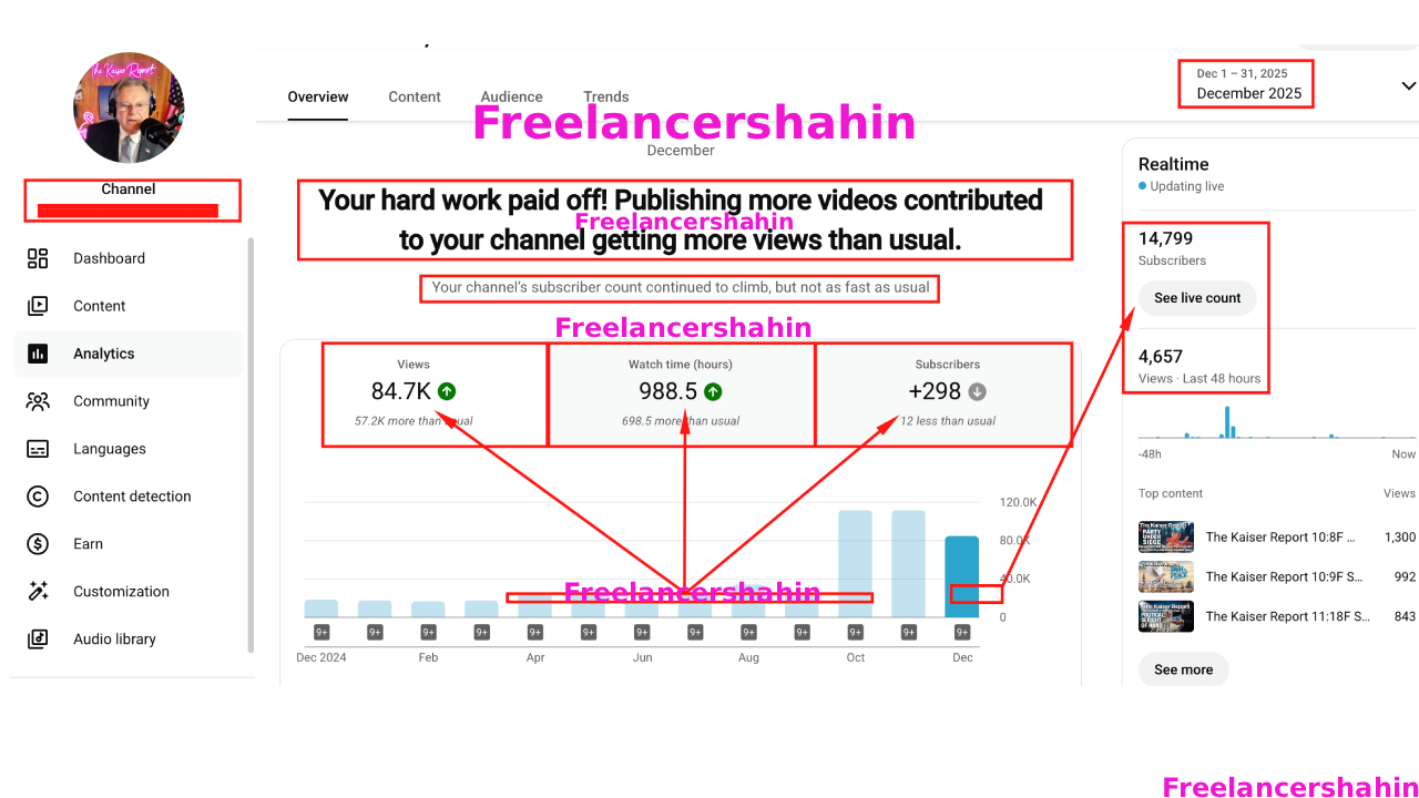 SEO & YouTube Development