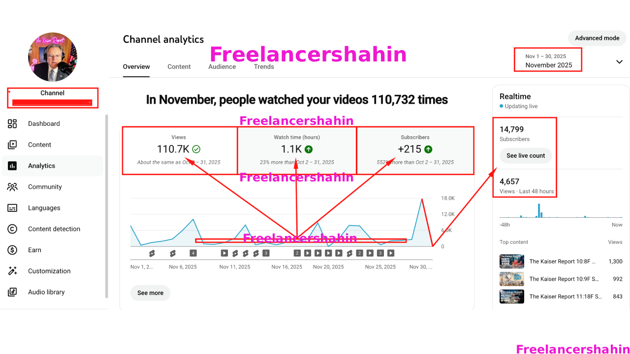 SEO & YouTube Development