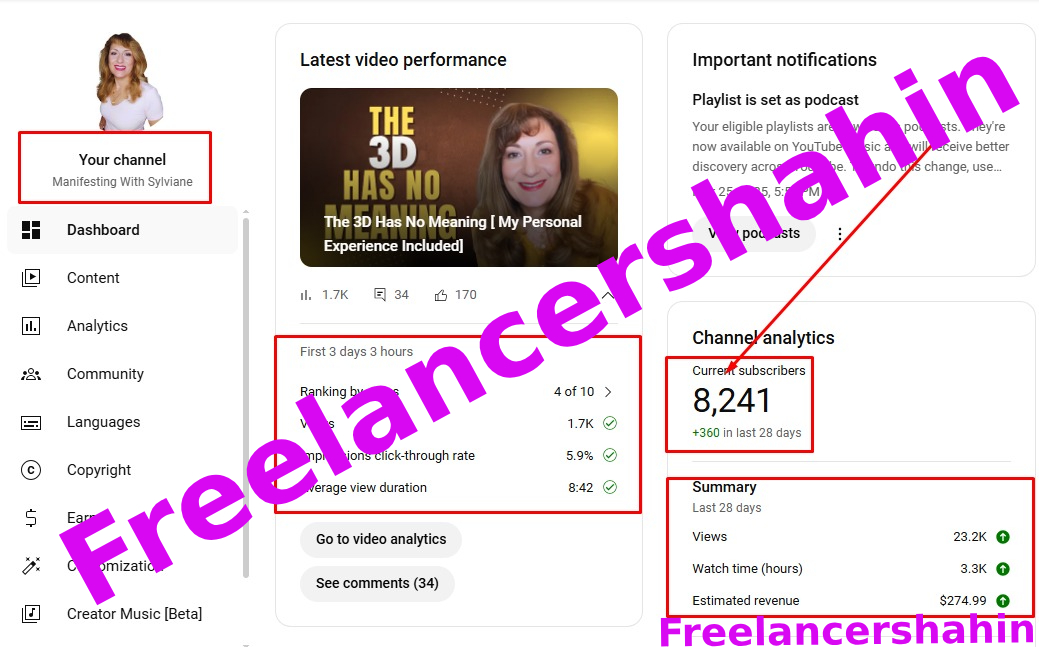 SEO & YouTube Development