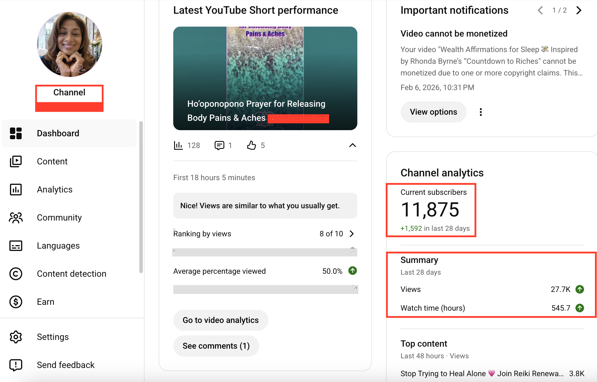 SEO & YouTube Development